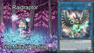 RAIDRAPTOR - Ten Minute Testing 2/18/21
