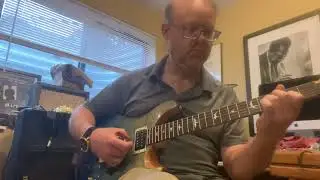 PRS SE Custom 24 Blue Fade Sounds