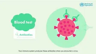 Different tests for COVID-19