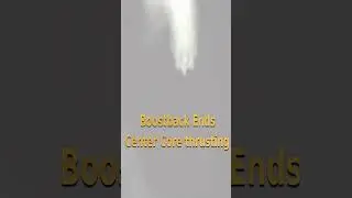 Twin Boostback on Falcon Heavy Launch