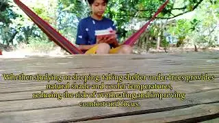 HEAT INDEX UNDERSTANDING EFFECTS AND PREVENTION