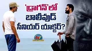 Bollywood Senior Actor in NTR's Dragon Movie | NTR | Rukmini Vasanth | Prashanth Neel || @NTVENT