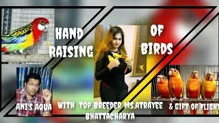 Hand Raising of Birds with Eminent Breeder Ms.Atrayee Bhattacharya