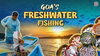 Goa's Freshwater Fishing | Trapped Rivers of Goa | Goa Stories Special