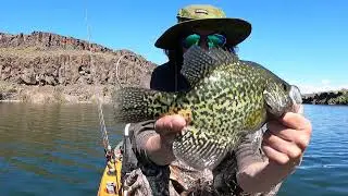 Crappie dayz