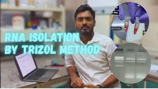 RNA Isolation from Plant Tissue (TRIZOL Protocol)