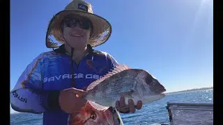 INSHORE PINK SNAPPER + KING GEORGE WHITING! - (CATCH CLEAN COOK)