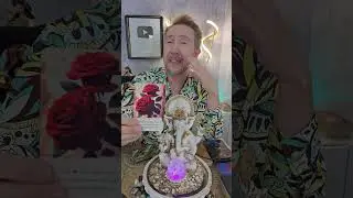 TAROT DE HOJE -REI DO OR&Aacute;CULO HOJE, BUBA TAROT HOJE, #tarot#horoscopo#taro #leituradetaro,tarodoamor