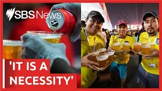 World Cup fans chant &lsquo;we want beer&rsquo; as Qatar ban beers from stadiums | SBS News