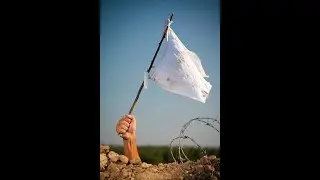 История американской капитуляции: почему демократическая оппозиция всегда терпит крах?