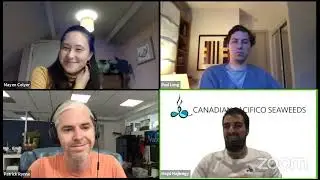 Companies using business to save our oceans - Waterlust, Ani&aacute;n, and Canadian Pacifico Seaweeds