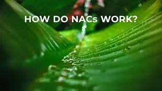 Natural Asset Company Explainer Video