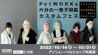 PetWORKs 六分の一男子図鑑 カスタムフェス