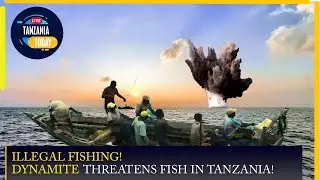 Unveiling Tanzania's Illegal Fishing Methods: A Coastal Crisis! #africa #tanzania #news
