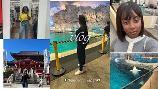 Converting Japan🇯🇵 visit visa to Work visa?
