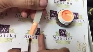 Master Paint CC05