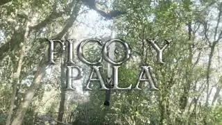 Artujo - PICO Y PALA (Visualizer)
