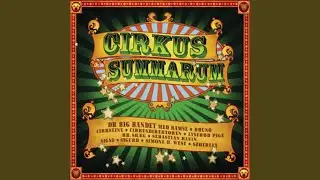 Cirkus Summarum (feat. Szhirley) (2009)
