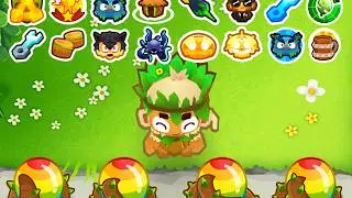 Everyone Is WRONG About the Druid 