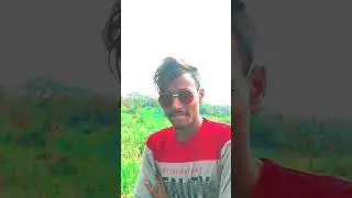 Happy Rose Day Wishes 2023 | the rose day shorts #shorts #shortsvideo #shortsfeed #youtubeshorts