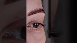Как выбрать валики для ламинирования ресниц? #beautytrends #lashes #спб #eyelashextensions