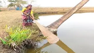 Bangladesh!!!! Amazing cast net fishing video | fishcathing video