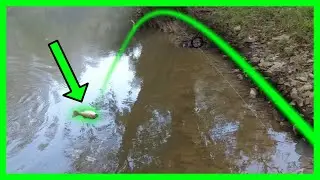 Salt River | 🔥 Fall River Fishing 🔥