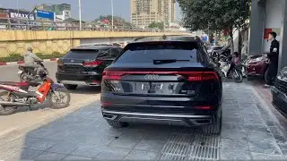 RX300 & Audi Q8 #bachoto #bachhaiauto