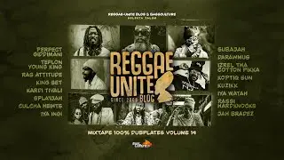 Mixtape 100% Dubplates for Reggae-Unite Blog (Volume 14) (2024)