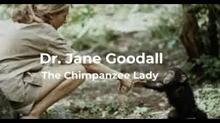 Dr. Jane Goodall: The Chimpanzee Lady, Conservation Icon | Atria University | Interspecies Movement