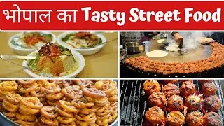 Tasty Street Food Of Bhopal | Bhopal Yatra