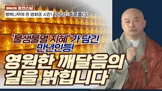 '불생불멸 지혜'가 담긴 만년인등! 영원한 깨달음의 길을 밝힙니다[행복나무에 핀 법화경 시즌1-127강]촉루품(3)