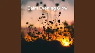 Calm Evening Glow