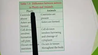 Difference between Mitosis of plant and animals