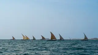 Red Sea Classic Sailing Cup 2025