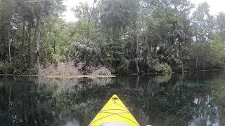 Fort King Paddling Trail -  Silver Springs