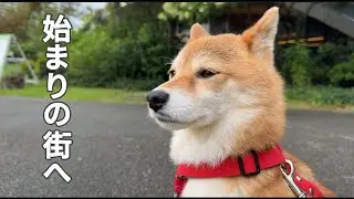 福ちゃんとの新たな生活に選んだのはこの街でした