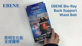 EBENE Bio-Ray Back Support Waist Belt | Wear It Right