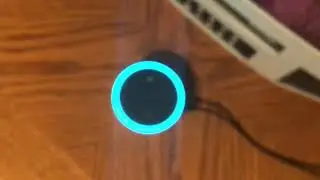 Asking Amazon echo dot 60 questions