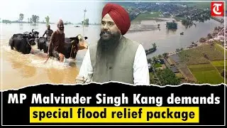 MP Malvinder Singh Kang demands Rs 50,000 crore special flood relief package for Punjab&nbsp;from&nbsp;Centre