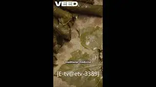 Coca  Culture and Controversy mp4#sciencefacts #shortvideo