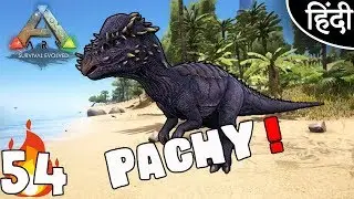 ARK Survival Evolved : 