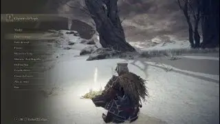 ELDEN RING™_20251226044302