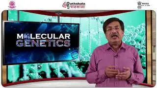 Transgenic Animals: Applications