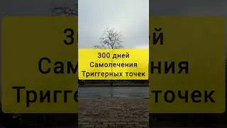 300 дней самолечения, триггерные точки