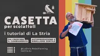 Costruisci con noi la casetta-nido per lo Scoiattolo rosso 🐿️ | Guida gratuita
