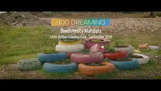Renewal - Building a biodiversity mandala at Little Belhus Country Park