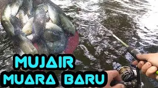 #mancingmuarabaru#muara baru panen mujair,full strike mancing muara baru,spot dekat dam ijo