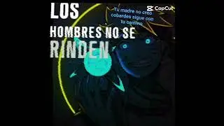 si se Caen vuelves a levantarse