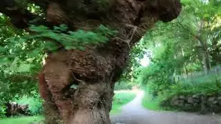 M&oslash;llestien 4K